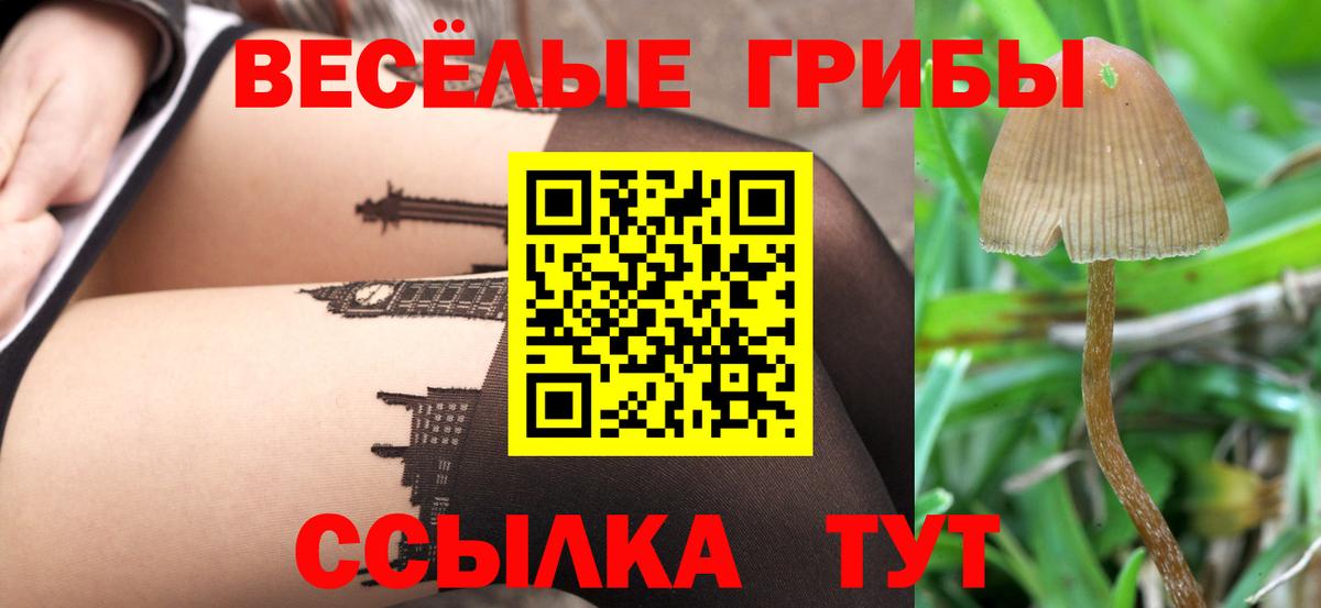 Галлюциногенные грибы MAGIC MUSHROOMS Гурьевск